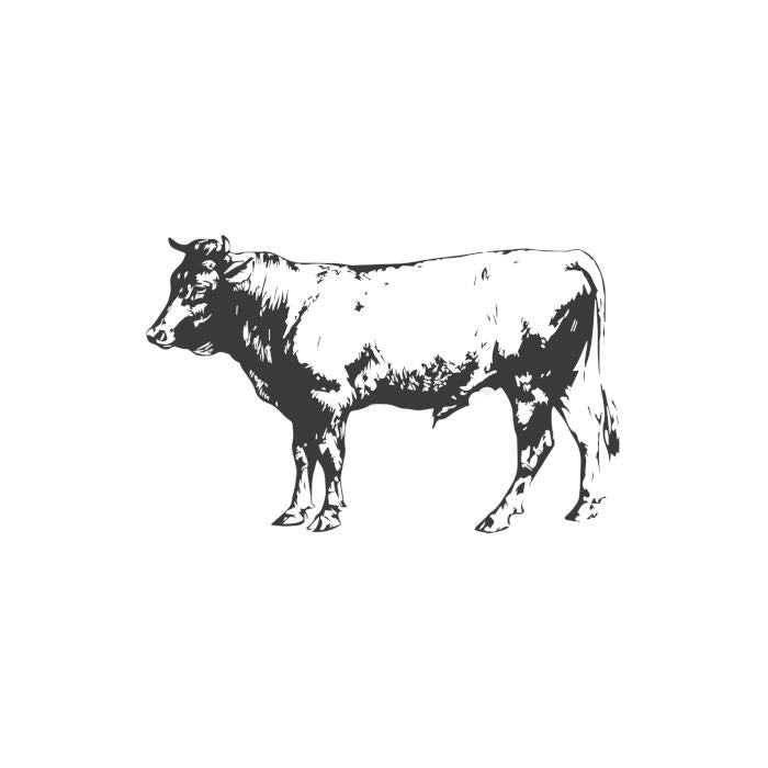 Showing an illustration of a cow.