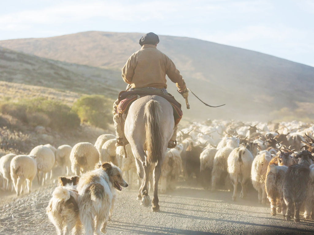 Argentinian Gaucho Cowboy Culture: Meat, Knives & Yerba Maté