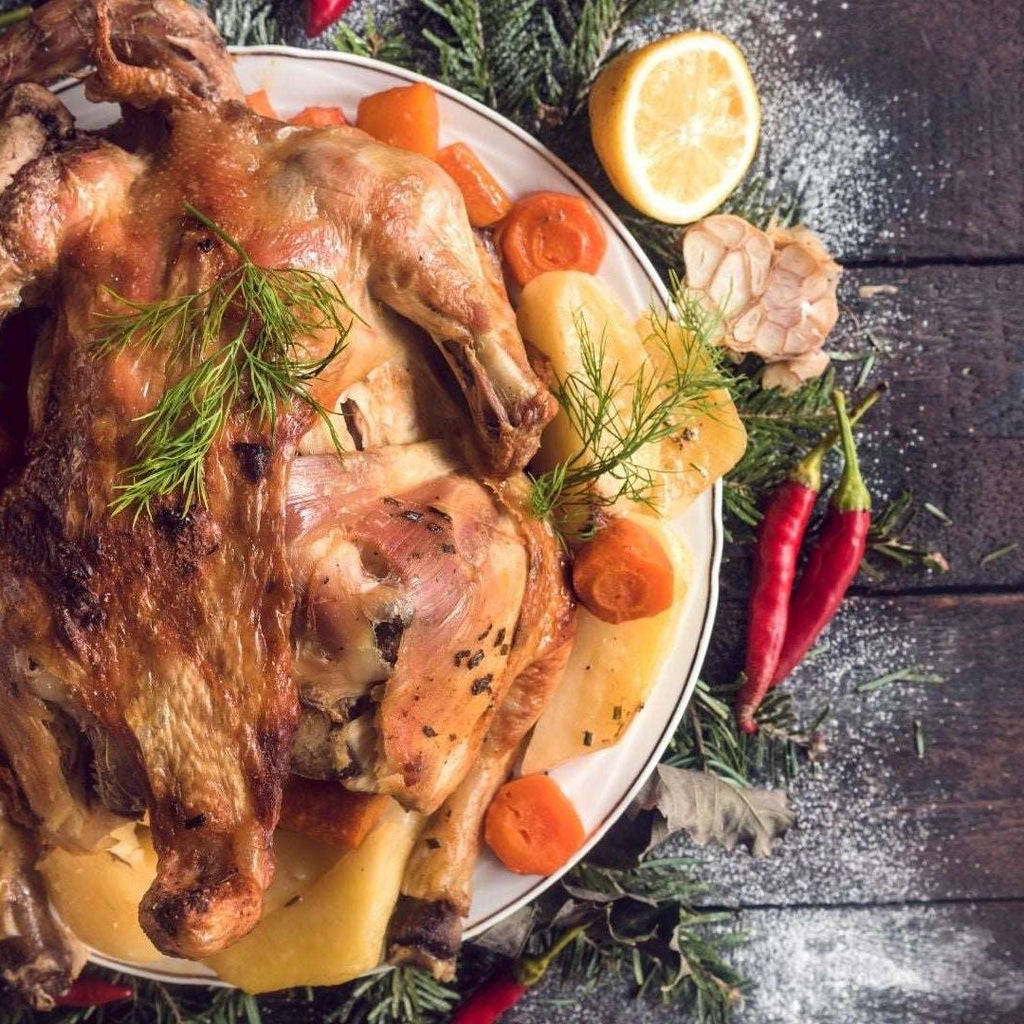 Behind the Scenes: The Journey of Our Holiday Turkey from Farm to Feast 🦃🎥