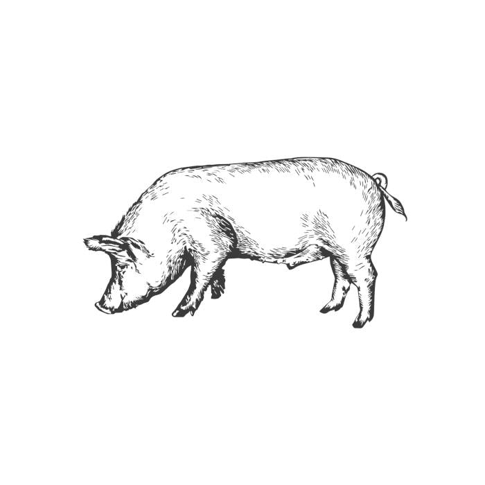 Showing an illustration of a pig.