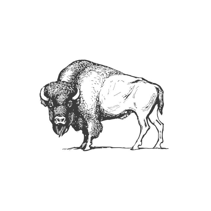 Showing an illustration of a buffalo.