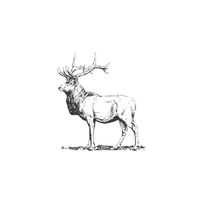 Showing an illustration of an elk.
