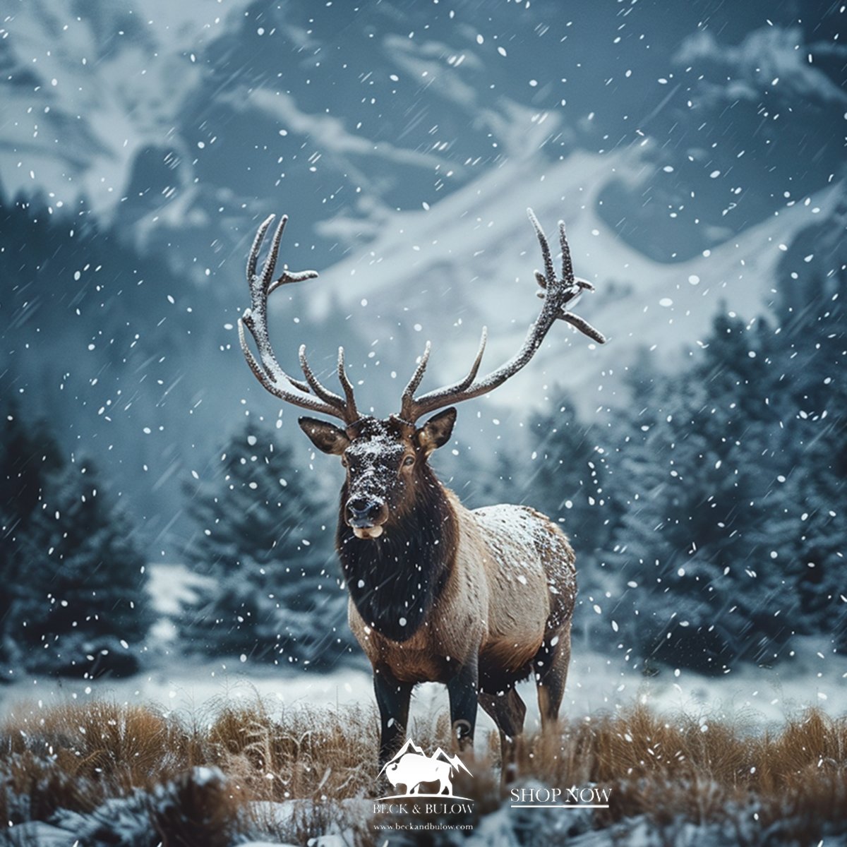 Order Free Range Elk Meat Online For Home Delivery