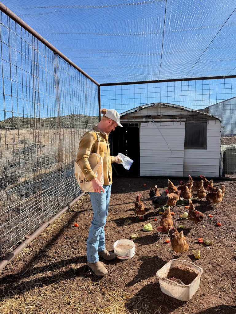 Beck & Bulow Ranch — Private Events & Venue in Santa Fe, NM