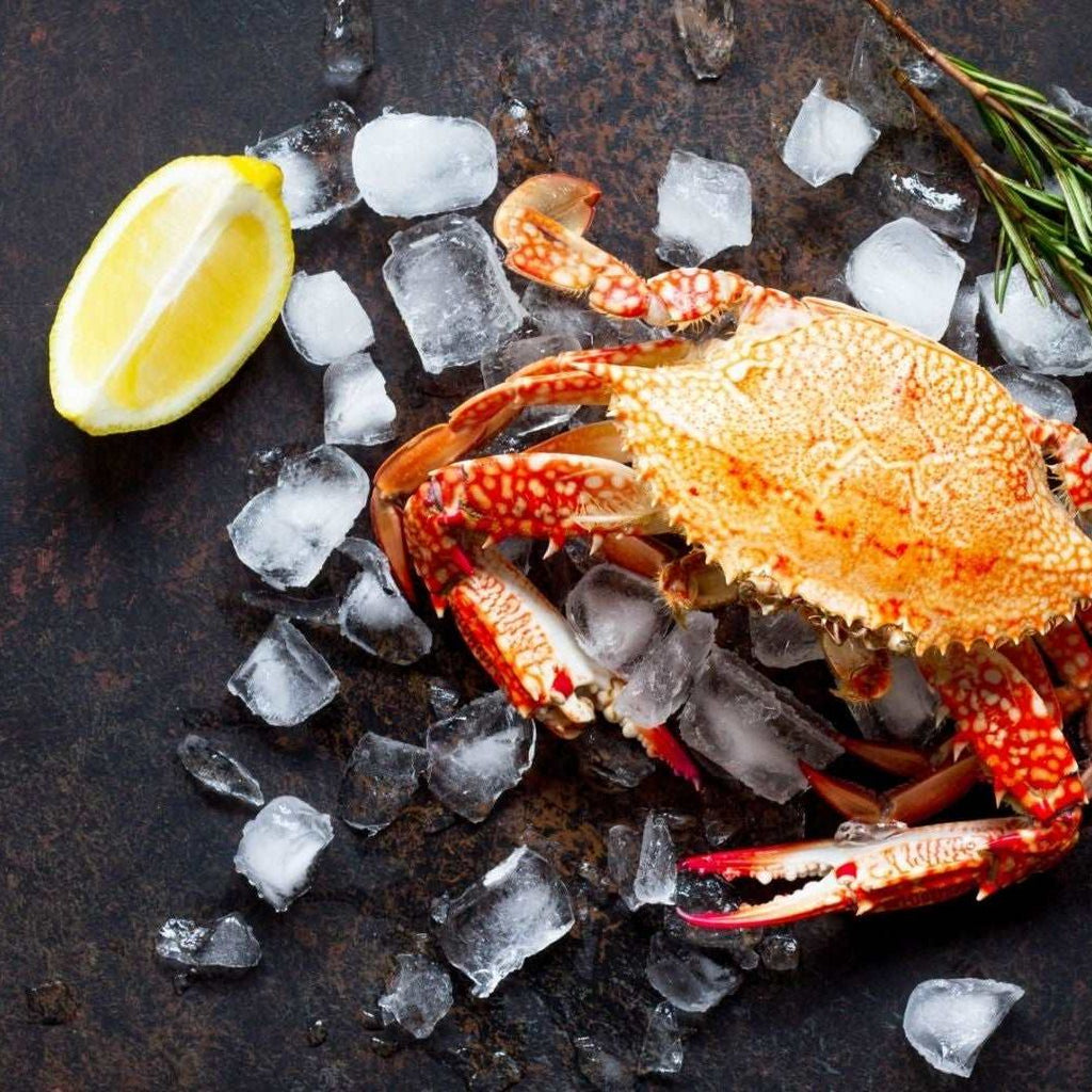 Wild Caught Dungeness Crab - Seafood - Beck & Bulow