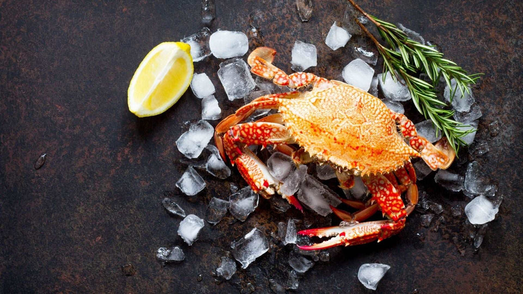 Wild Caught Dungeness Crab - Seafood - Beck & Bulow
